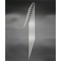 Inkariniai kaiščiai neaustiniam geotinkleliui