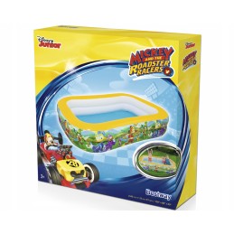 Bestway 91008 žėručio pripučiamas baseinas 262x175x51cm