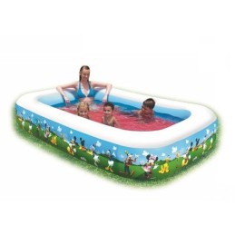 Bestway 91008 žėručio pripučiamas baseinas 262x175x51cm