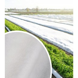 Žieminė agrotekstilė, stora, tvirta, balta, 1,6x100m, UV