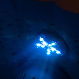 Spalvinga LED lempa skirta sūkurinei voniai iš Bestway SPA