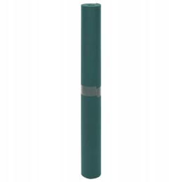 Vidaxl auginta austa danga 2 ritinėliai 70 g m2 10x1 6 m