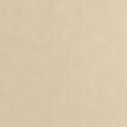 Dengianti agrotekstilė 2 rulonai 70g/m² 10x1,6m