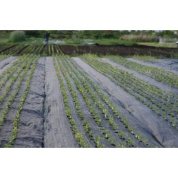 Agrotkanina mulčiavimo kilimėlis nuo piktžolių