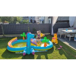 Pripučiamų dinozaurų žaidimų aikštelės priedai intex 57135