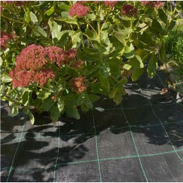 Kokybiškas agro audinys, 3,2 m x 10 m pločio, su UV filtru, svoris 100 g/m2, metams