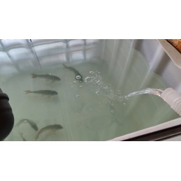 Bestway srauto filtro siurblys 1249l h 58381