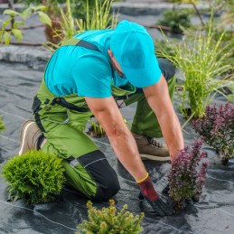 Agrotkanina agrotekstilė juoda 1,5x50m 70g/m² piktžolių mulčiavimo kilimėlis