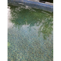 Aquadrift bestway58665 automatinis baseino dulkių siurblys