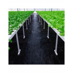 Tvirtas nuo piktžolių, kilimėlio, auginimo krosnyje agroaudinis 1 1x100m 70g be inkarų