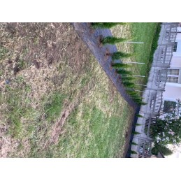 Tvirtas nuo piktžolių, kilimėlio, auginimo krosnyje agroaudinis 1 1x100m 70g be inkarų