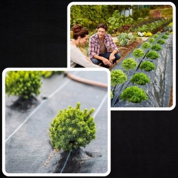 Juoda stora agrotekstilė 90g piktžolėms 1,1x50m uv3% agrotekstilė 50x inkarai