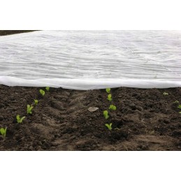 ⭐⭐balta agrotekstilė šalnoms 420 cm x 10 metrų, atsilieka su UV filtru⭐⭐