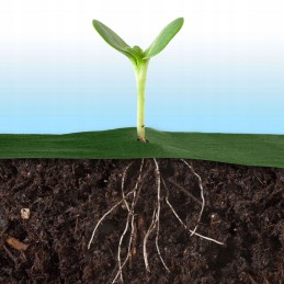 Agrotekstilė nuo piktžolių 1,6x50m 100 kaiščių, atspari piktžolėms UV stipri