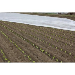 ⭐⭐balta agrotekstilė šalnoms 420 cm x 10 metrų, atsilieka su UV filtru⭐⭐