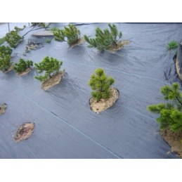 Agrotekstilė nuo piktžolių, juoda, 0,8x100, 70g/m2