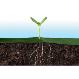 Plonos sodo agrotekstilė 1,6 m x 100 m + 100 smeigtukų