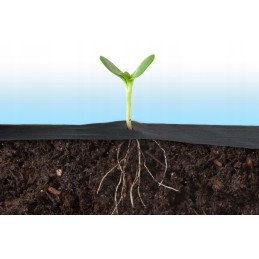 ▶agrotekstilė agrotekstilė piktžolėms 0,8x100m + 100 smeigtukų