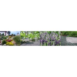 Tvirtas kilimėlis nuo piktžolių, agrotekstilė, 1,1x100m, 70g