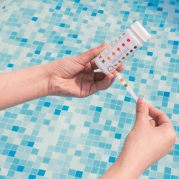 Baseino valymo rinkinys - termometro plūdė