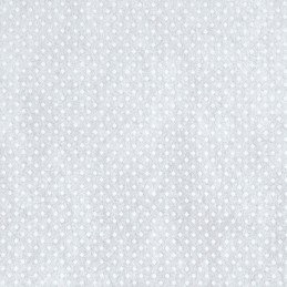 ⭐⭐Agro balta žiemos dengiamoji neaustinė medžiaga 1,6x50m 30g⭐⭐