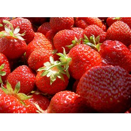 Šiame aukcione parduodame geriausios kokybės: