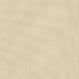 Augalų gaubtai su virvelėmis 8 vnt 70 g m2 0 8x0 8 m