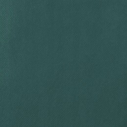 Vidaxl augalų apsauginis gobtuvas su užtrauktuku 70 g m2 3 14x2 5 m