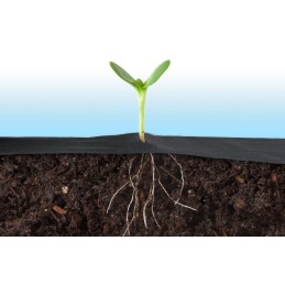 Sodo agrotekstilė 0,8 m x 100 m + 100 plonų smeigtukų