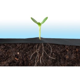 Plonos sodo agrotekstilė 0,8 m x 100 m + 100 smeigtukų