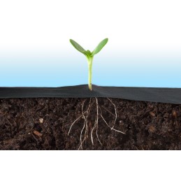 Plonos agrotekstilės savybės: