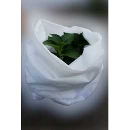 Balta pavasarinė ir žieminė agrotekstilė augalų apsaugai, plotis 1,6 - metrais, geriausia kokybė už geriausią kainą