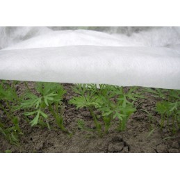 Agrowloknina Biala 17g agrospeed 1 6 100m