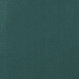 Apsauginis gaubtas augalams su užtrauktuku 70 g m2 3 14x2 5 m