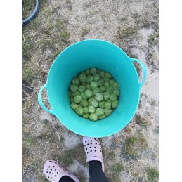 ? dovana pirkimui - knyga "101 kūrybinis žaidimas vaikams"