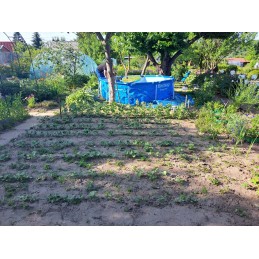 10 pėdų 305 x 76 cm bestway rėmo baseinas