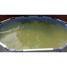 Smėlio filtras bestway flowclear 3028 lh r213 85 in