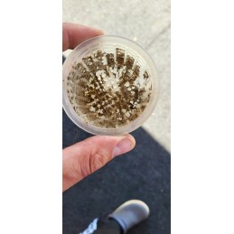 Baseino smėlio filtro siurblys 3028 lh baseino filtras bestway 58515