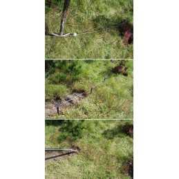 Žalia agrotekstilė, 100 g/m2, tvirta, 3,2 m/m, nuo piktžolių