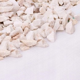 Agrotekstilė sodo kilimėlis balta žieminė agrotekstilė 50 mx 1,6 m 100 g