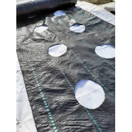 Žemės ūkio audinys didelės skylės fi20cm sodinukams 1 1x20