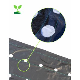 Agrotekstilė, skylutės braškėms ir agurkams, 1,1 x 20 m