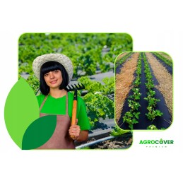 Agrotekstilė, skylutės braškėms ir agurkams, 1,1 x 20 m