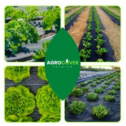 Agrotekstilė, skylutės braškėms ir agurkams, 1,1 x 20 m