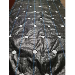 Kaip pateikti užsakymą