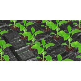 Kaip pateikti užsakymą