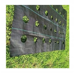 Kaip pateikti užsakymą