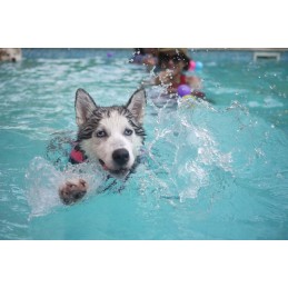 Smėlis siurbliui kvarcinis stiklas 0 85 2 mm intex bestway aqua grūdėtumas 20kg