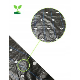 Agrotaudinis, 8 eilių, skylutės daigams, storas, 95g