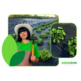 Agrotaudinis, 8 eilių, skylutės daigams, storas, 95g